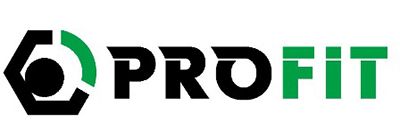 Амортизатор PROFIT 2002-1129